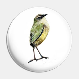 Mr Tuke, Rock wren bird of New Zealand Pin