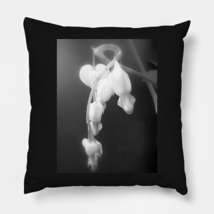 white bleeding hearts, black and white #2 Pillow