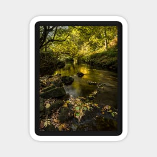 West Beck, Goathland, North Yorkshire Magnet