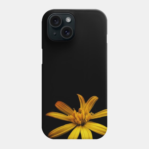 Sunlight Phone Case by Iria_z