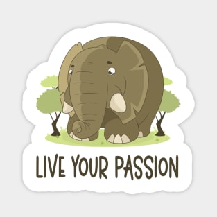 Live Your Passion - Positive Mindset Magnet