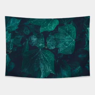 Dark emerald green ivy leaves water drops Tapestry