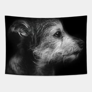 dog, terrier, black and white - roger Tapestry