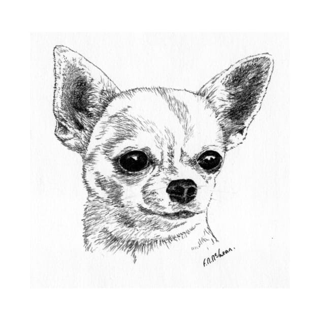 Smoothcoat chihuahua head portrait by fionahooperart