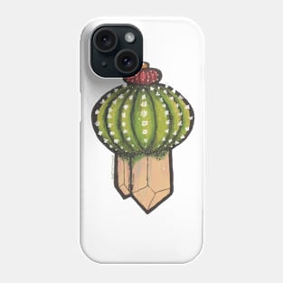 Cactus with crystal roots 5 Phone Case