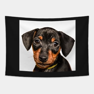 Portrait of black puppy Tapestry