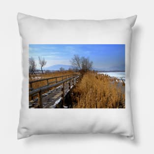 Winter Pillow