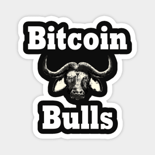 Bitcoin Bull Run Crypto Currency Magnet