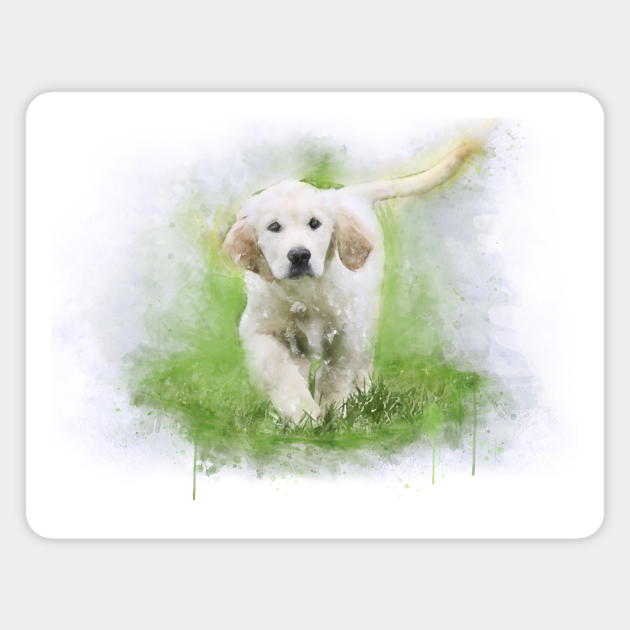 Golden Retriever Puppy Watercolor Golden Retriever Magnet Teepublic