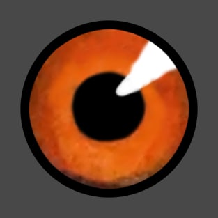 Orange iris of big eye, with black pupil staring. T-Shirt