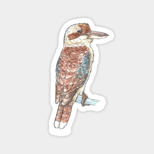 Laughing Kookaburra Magnet