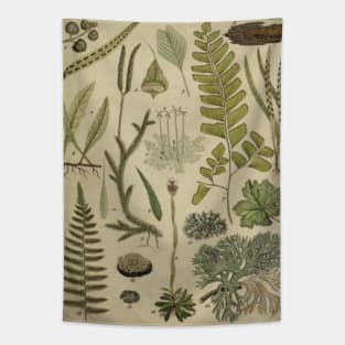 Ferns and Mosses Tapestry