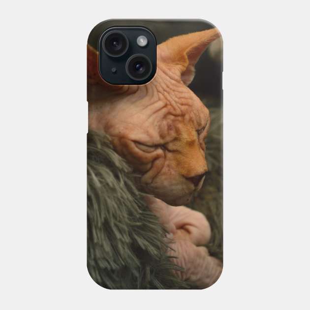 Sleeping cat Phone Case by vanjarosenthal