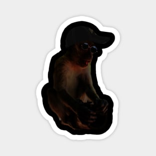 COOL MONKEY Magnet