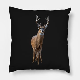 Buck Pillow