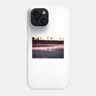 Ducks at dusk in a marsh Phone Case