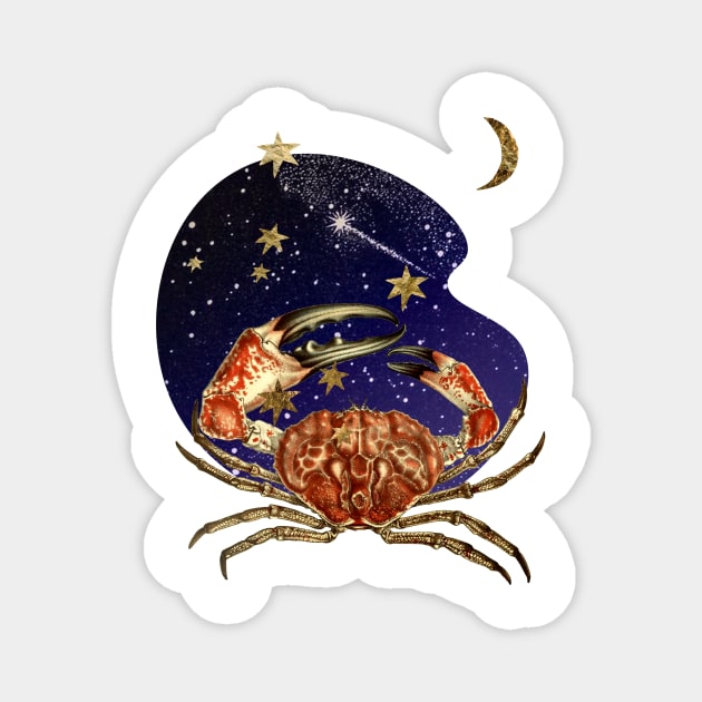 Mystic crab Magnet by BarcelonaLights