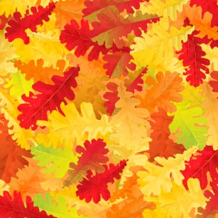 Autumn leaves Magnet