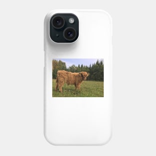 Scottish Highland Cattle Calf 1524 Phone Case