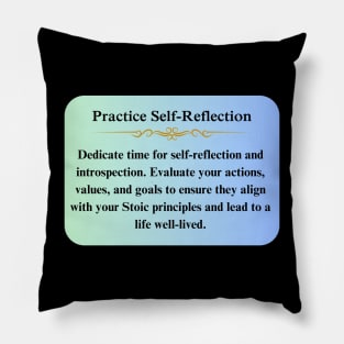 Stoic Practice Self Reflection Thoughts Pillow