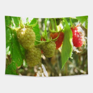 Raspberries Tapestry