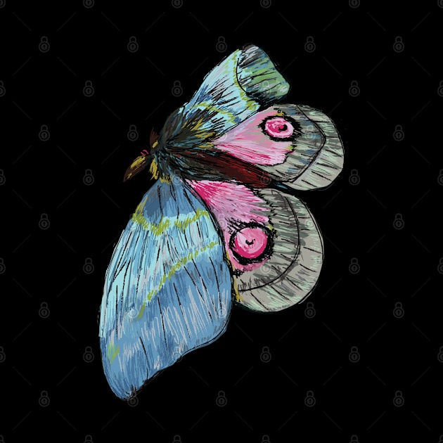 Exotic Butterfly by Manitarka