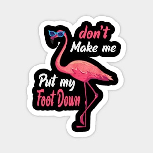 Don't Make Me Put My Foot Down flamingo Magnet