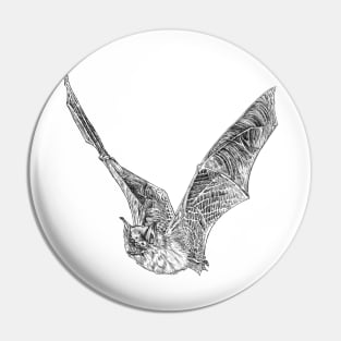 Bat scientific nature black ink pen drawing illustration Pin