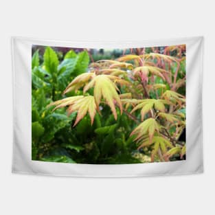 Yellow Maple Leaves Tapestry