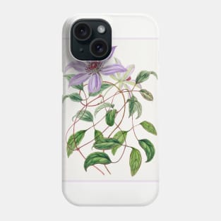 Violet Clematis Flower Branch Phone Case