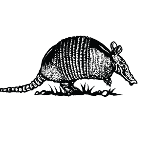 What's The Dillo ? Armadillo Magnet