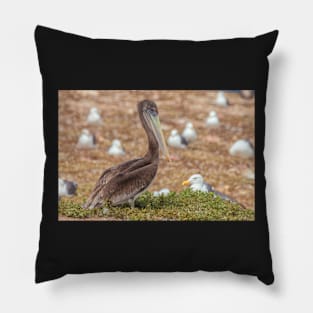 Brown Pelican Pillow