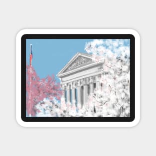 Cherry Blossoms and Supreme Court Magnet