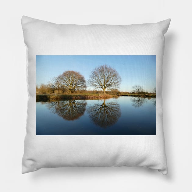 River Stour, Dedham Vale Pillow by Chris Petty