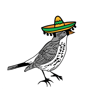 Tequila Mockingbird - Funny Bar Hopping May 5th Magnet