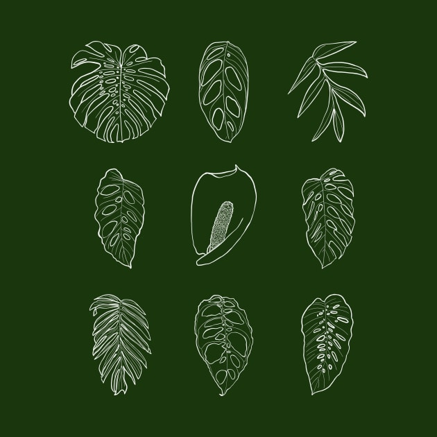 Monstera by thenordicjungle