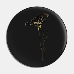 Red Tailed Hawk Pin