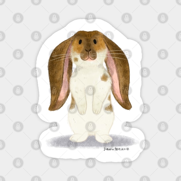 English Lop Rabbit Magnet by julianamotzko