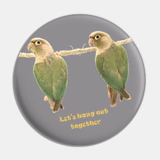 Let's hang out together Pin