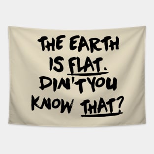 Yoongi - The Earth Is Flat Didn't You Know That Tapestry