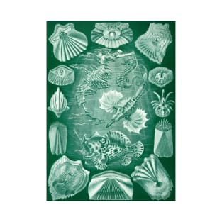 Teleostei by Ernst Haeckel T-Shirt