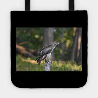 Hawk Tote