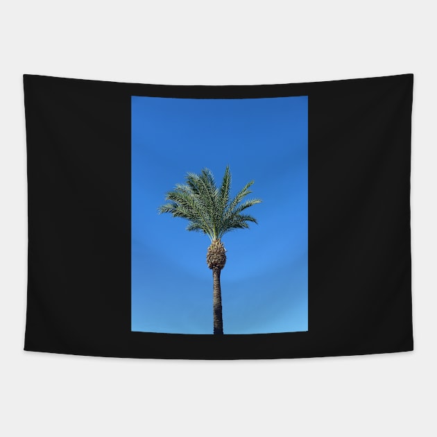 Single Palm Tree with Blue Sky2 Tapestry by Sandraartist