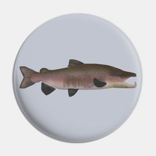 Atlantic Salmon -  Spawn Phase Pin