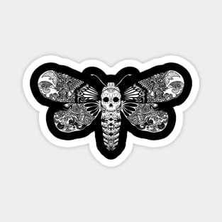 Death's head hawkmoth design Magnet