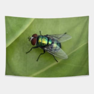 Fly Tapestry