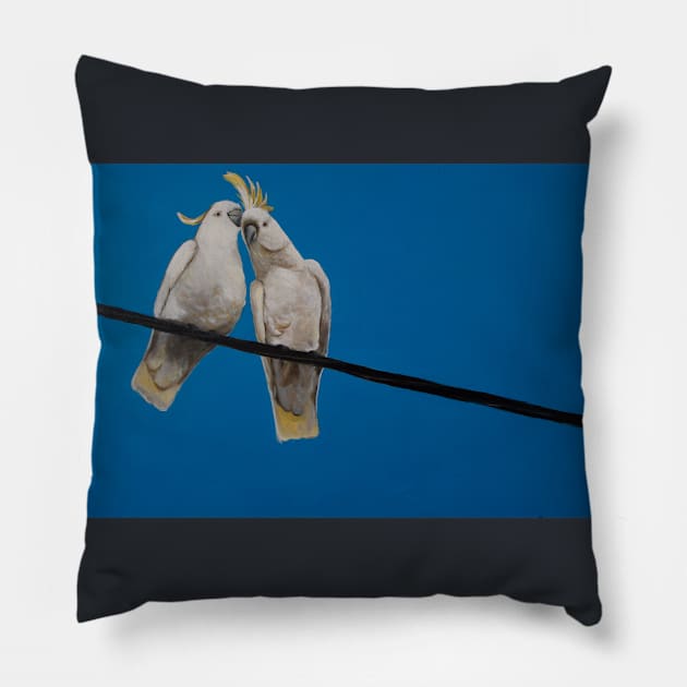 Salt Crested Cockatoo Pair Pillow by CoryAcornArt