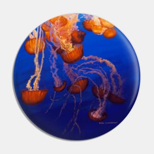 Jellyfish Pin