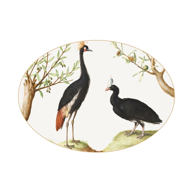 Gray Crowned Crane and Helmeted Currasow (1575–1580) by WAITE-SMITH VINTAGE ART