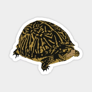 Florida Box Turtle Magnet